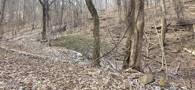 lot4 Balsam Slopes Rd, Sevierville, TN 37862
