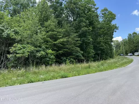 lot201 Elzies Way, Grimsley, TN 38565