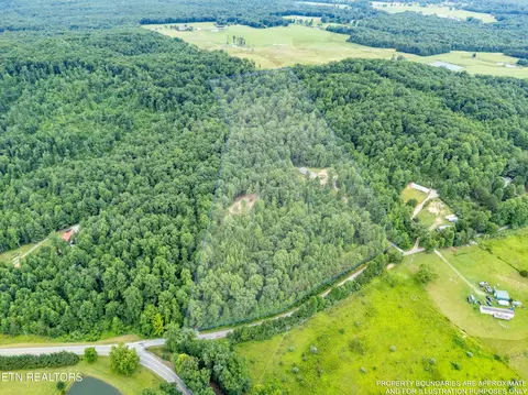 View/Area - 131 Bart Woolum Rd, Lancing, TN 37770 photo 1 of 5