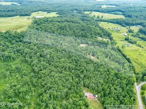 View/Area - 131 Bart Woolum Rd, Lancing, TN 37770 photo 5 of 5