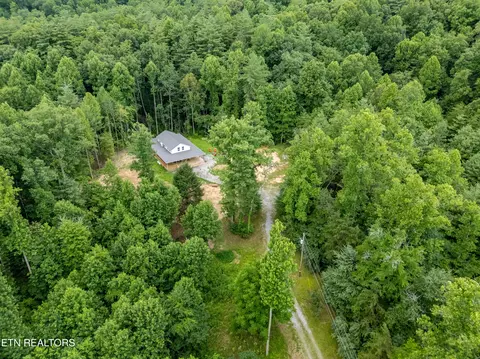 View/Area - 131 Bart Woolum Rd, Lancing, TN 37770 photo 3 of 5