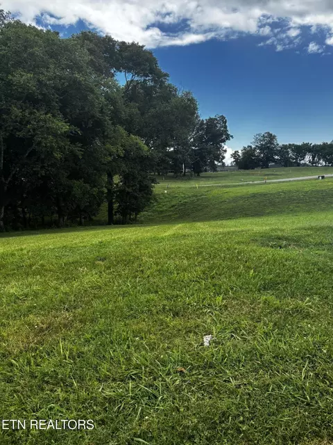 3964 Persimmon Rdg, Loudon, TN 37774