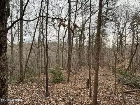 Black Hawk Drive, Ten Mile, TN 37880