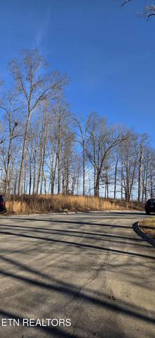 lot3 Sugar Maple Ct, Madisonville, TN 37354