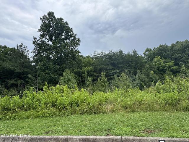 0 Evergreen Cove Lot 4 St, Kingston, TN 37763