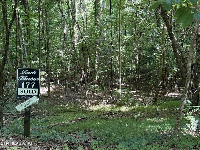 Moonstone Lane, New Tazewell, TN 37825
