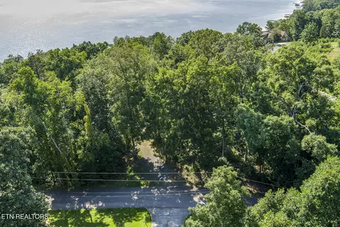 564 Bonne Vista Dr, White Pine, TN 37890