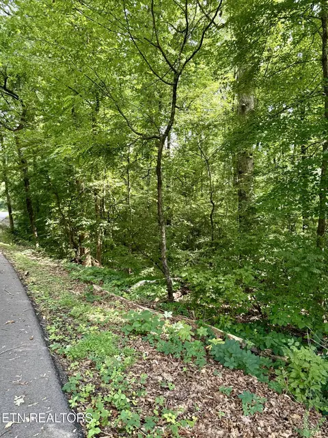 0 Edgewood Dr, Sweetwater, TN 37874