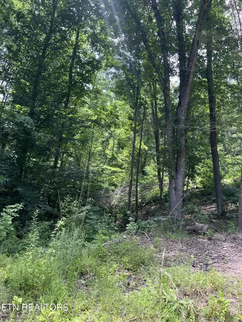 990 Tower Road, Tazewell, TN 37879