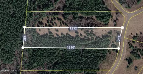 White Creek Drive, Deer Lodge, TN 37726
