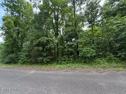 Saddleridge Dr. Drive, Speedwell, TN 37870