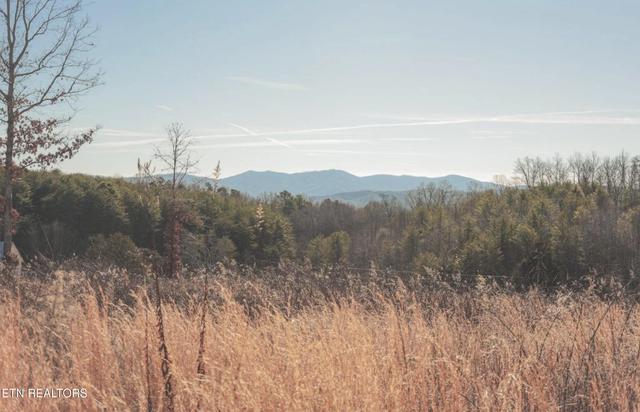 lot10 11 Curtis Rd, Tellico Plains, TN 37385