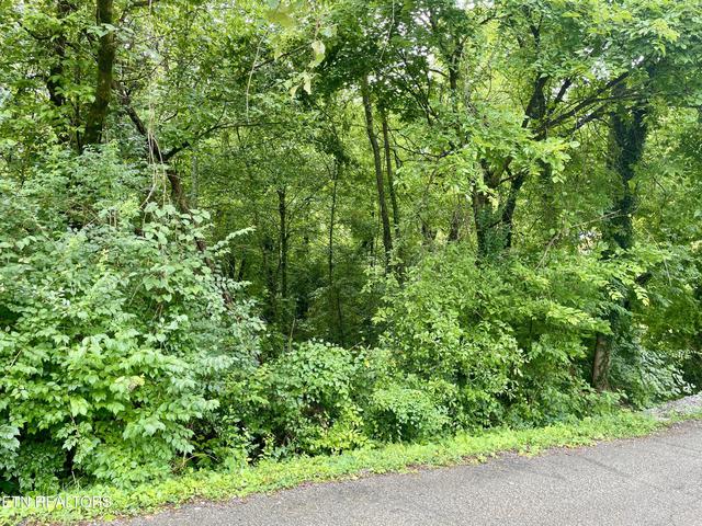 5119 Odell Rd, Knoxville, TN 37920