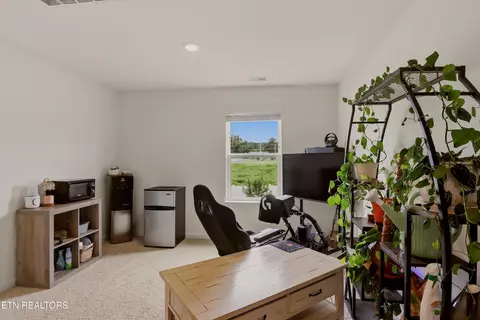Other - 1248 Cole Dr, Talbott, TN 37877 photo 6 of 7
