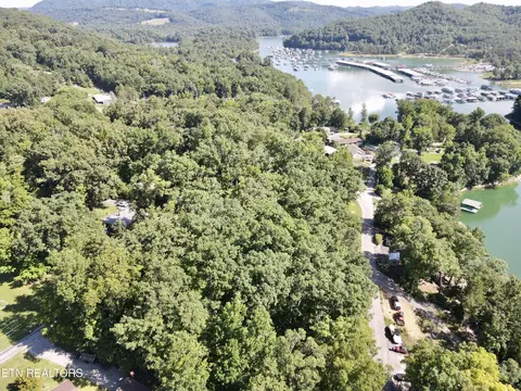 cape norris rd, New Tazewell, TN 37825