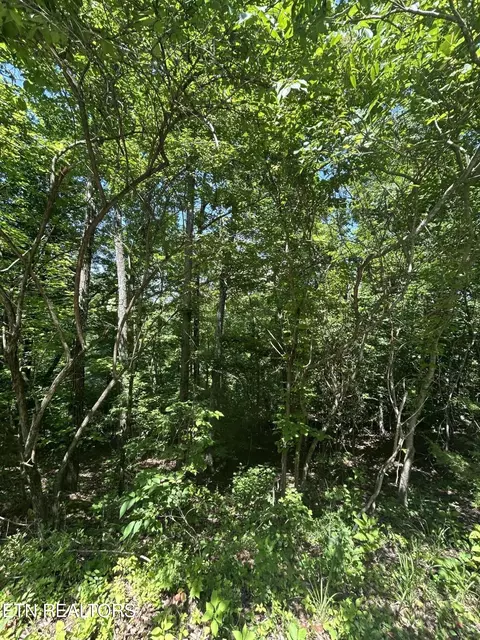 lot714 Russell Brothers Rd, Sharps Chapel, TN 37866
