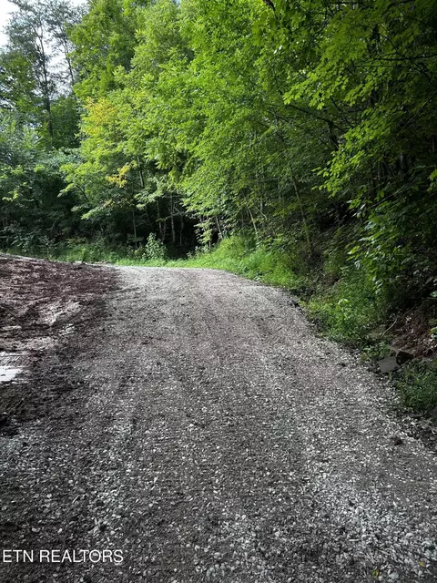 Other - 3900 Roberts Rd, Corryton, TN 37721 photo 7 of 7