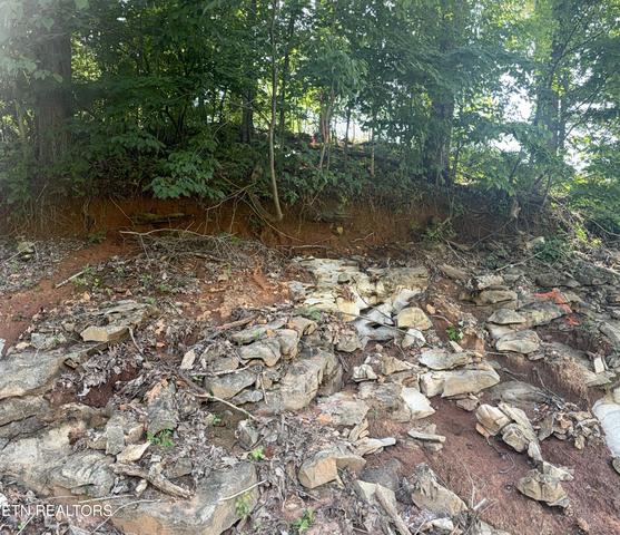 2828 SW Shorewoood Pt, Morristown, TN 37813