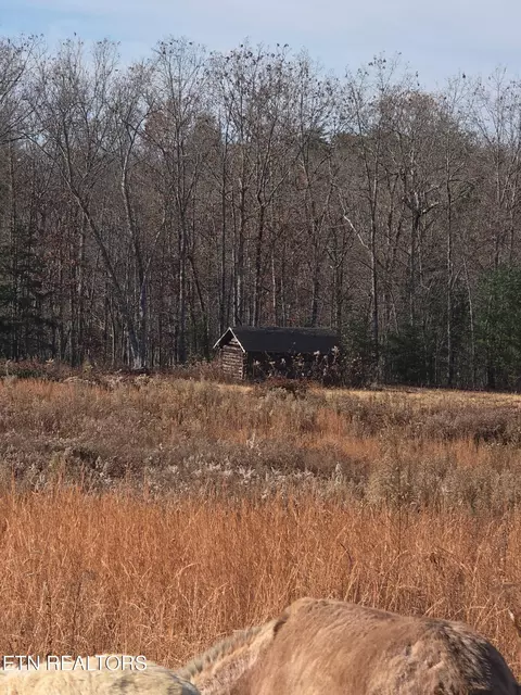 Barnett Bridge Rd, Lancing, TN 37770 photo 5