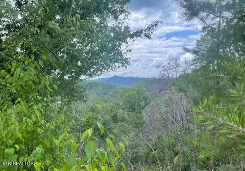lot4 River Birch Way, Sevierville, TN 37862
