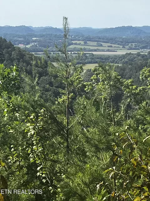 157 Quarry Creek Rd #1-4, Tellico Plains, TN 37385