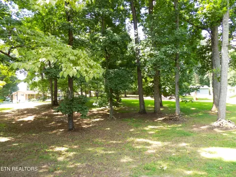 985 Ronald Dr, Talbott, TN 37877 photo 10