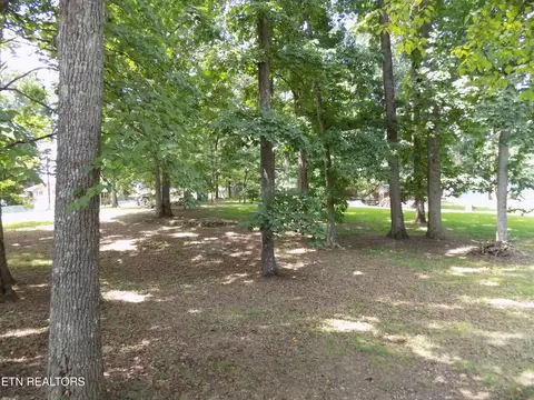 985 Ronald Dr, Talbott, TN 37877 photo 18