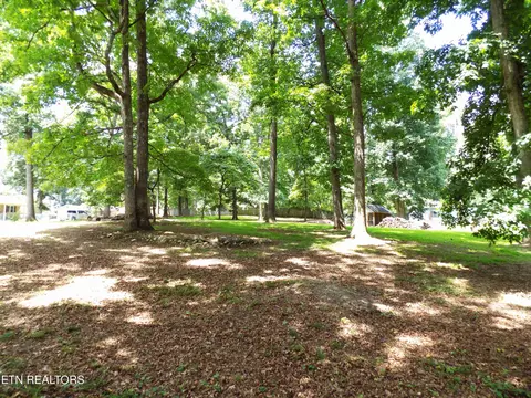 985 Ronald Dr, Talbott, TN 37877 photo 11