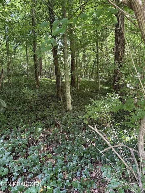 2506 Shaler Ln, Knoxville, TN 37920