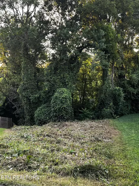 103 Henry Ave, Knoxville, TN 37920