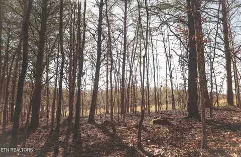 lot10 Curtis Rd, Tellico Plains, TN 37385