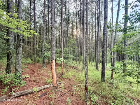 lot10 11 13 Airport Rd, Rockwood, TN 37854