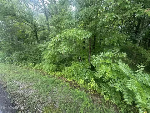 302 Elohi Trce, Loudon, TN 37774