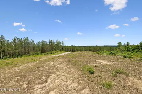 Nydeck Tract 1 Rd, Robbins, TN 37852 photo 3