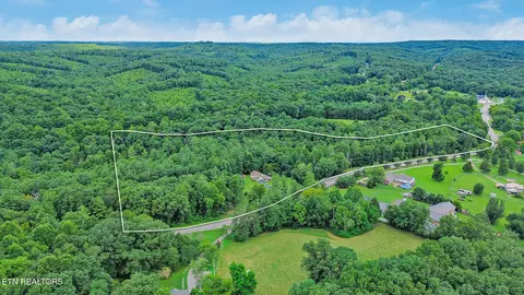 View/Area - 6849 Morgan County Hwy, Lancing, TN 37770 photo 3 of 9