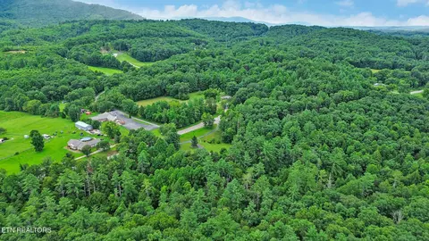 View/Area - 6849 Morgan County Hwy, Lancing, TN 37770 photo 8 of 9