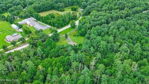 View/Area - 6849 Morgan County Hwy, Lancing, TN 37770 photo 7 of 9