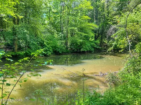 View/Area - 6849 Morgan County Hwy, Lancing, TN 37770 photo 1 of 9