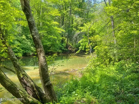View/Area - 6849 Morgan County Hwy, Lancing, TN 37770 photo 2 of 9