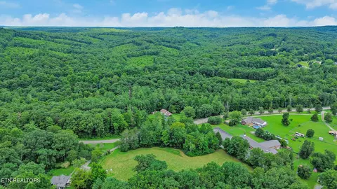 View/Area - 6849 Morgan County Hwy, Lancing, TN 37770 photo 5 of 9