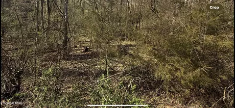 friends station rd, New Market, TN 37820