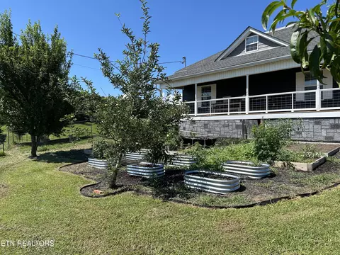 Exterior - 1246 Greenbriar Rd, Talbott, TN 37877 photo 4 of 15