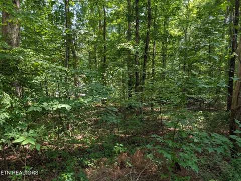 white st, Rockwood, TN 37854