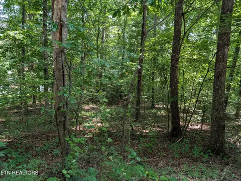 white st, Rockwood, TN 37854