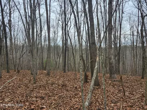 Peacock Rd, Deer Lodge, TN 37726 photo 5