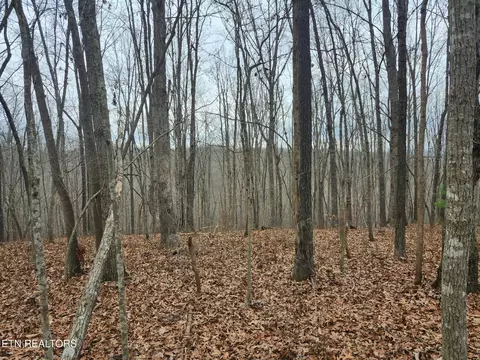 Peacock Rd, Deer Lodge, TN 37726 photo 6