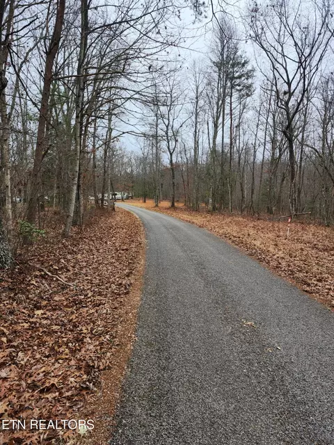 Peacock Rd, Deer Lodge, TN 37726 photo 2