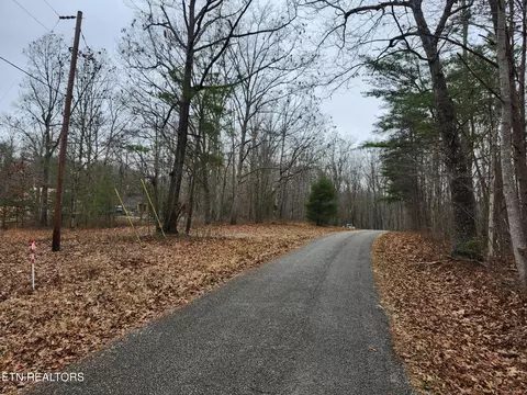 Peacock Rd, Deer Lodge, TN 37726 photo 3