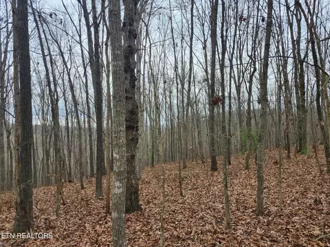 Peacock Rd, Deer Lodge, TN 37726 photo 4