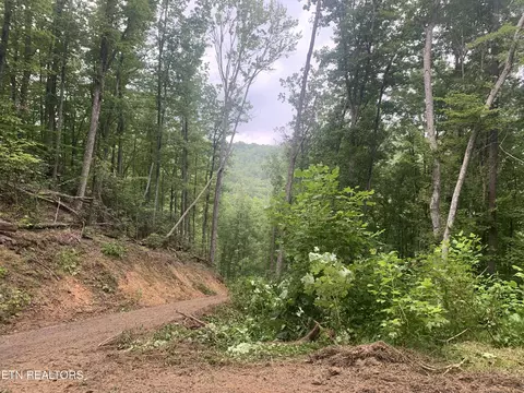0 Happy Hollow Rd #0, Sevierville, TN 37862